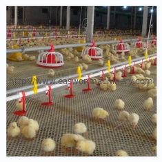 Attrezzatura automatica dell'azienda avicola della gabbia di pollo con il sistema di ventilazione