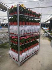 Sviluppi seminante gli scaffali danesi della pianta della Camera del carrello W565mm del fiore di HDG