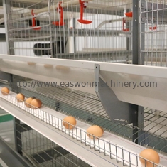 Lo strato automatico d'acciaio del pollo dell'attrezzatura dell'azienda avicola Q235 ingabbia per le galline ovaiole