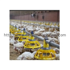 Pollo d'alimentazione automatico dell'attrezzatura dell'azienda avicola di zootecnia/di controllo ambiente