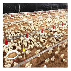 Regolatore automatico completo della gabbia T607 del pollo da carne dell'attrezzatura dell'azienda avicola