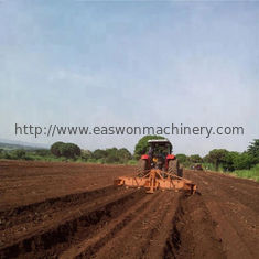 Rincalzatore estratto trattore di file della macchina 4 della piantatrice della manioca montato trattore 8Ha/Day